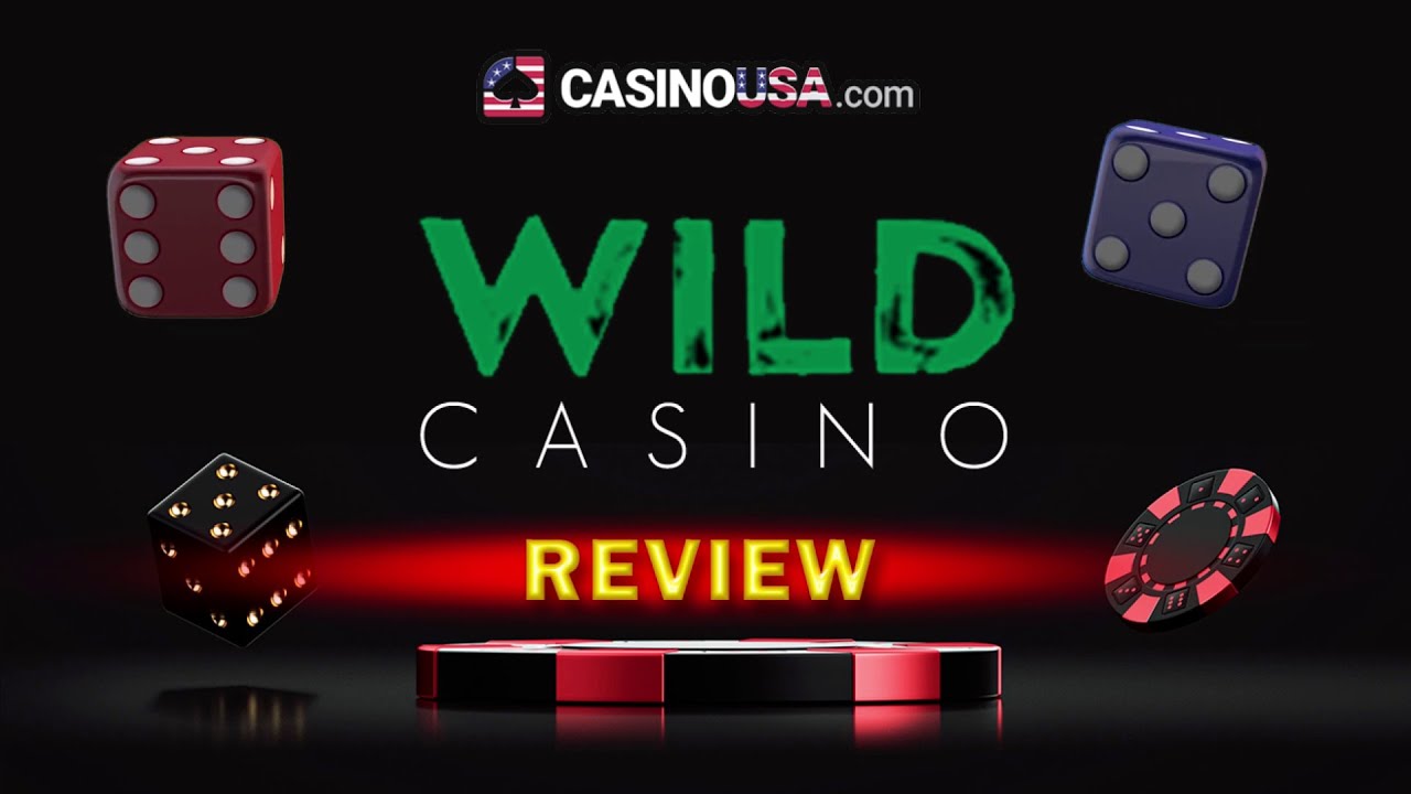 Total Evaluation of Wild Casino